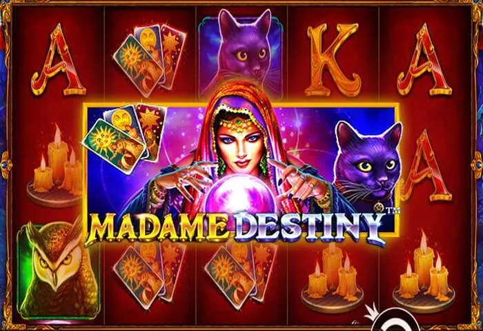 Divertiti con Chipy Casino Giochi di Slot Senza Deposito.