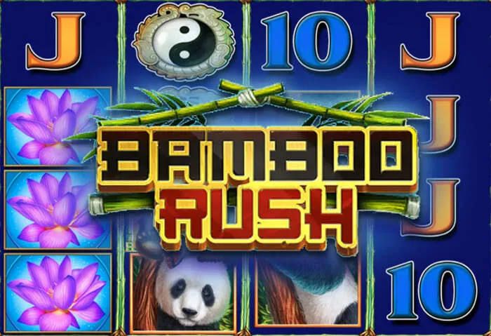 Claim Chipy Casino App Bonus Codes for exclusive rewards.