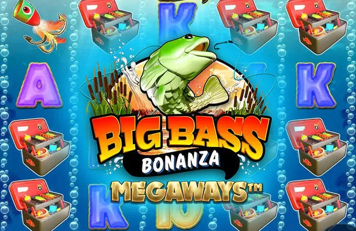 Navigazione intuitiva per Chipy Casino App Mobile & Giochi.