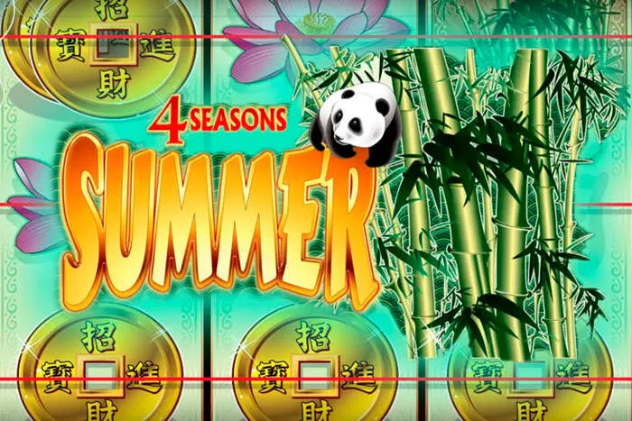 Fast Chipy Casino Login & Free Spins access.